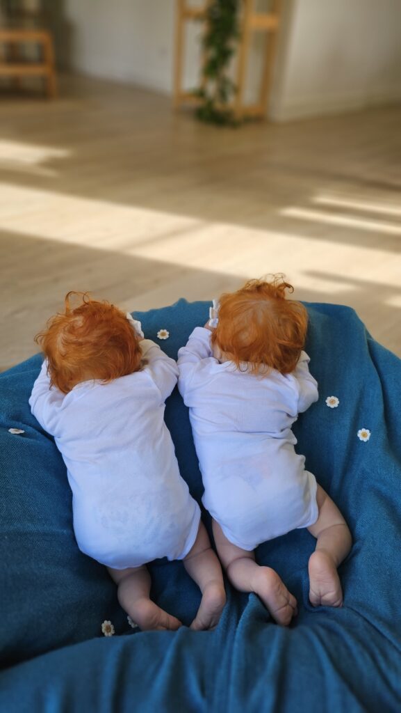 poupées reborn jumelles de dos